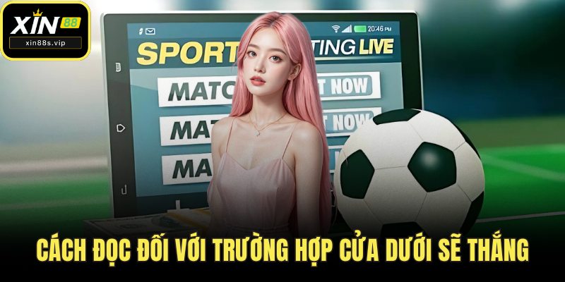 Kèo 0.5/1 Trong Cá Cược Bóng Đá Hiểu Thế Nào? Mẹo Từ XIN88 Cách đọc đối với trường hợp cửa dưới sẽ thắng