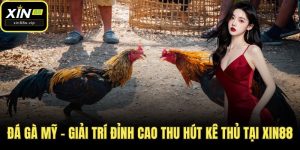 Đá gà mỹ