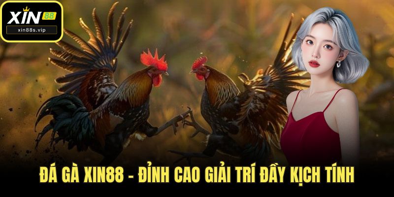 Đá Gà XIN88 - Đỉnh Cao Giải Trí Đầy Kịch Tính Nhất Năm 2025 da ga