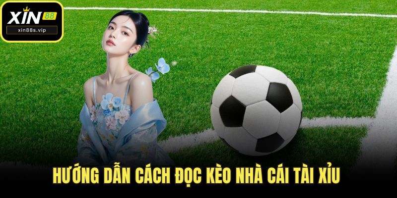 Cách Đọc Kèo Nhà Cái - Bí Kíp Cho Tân Thủ Tại Nhà Cái Xin88 Hướng dẫn cách đọc kèo nhà cái tài xỉu