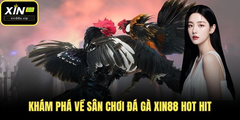 Đá Gà XIN88 - Đỉnh Cao Giải Trí Đầy Kịch Tính Nhất Năm 2025 Khám phá về sân chơi đá gà XIN88 hot hit