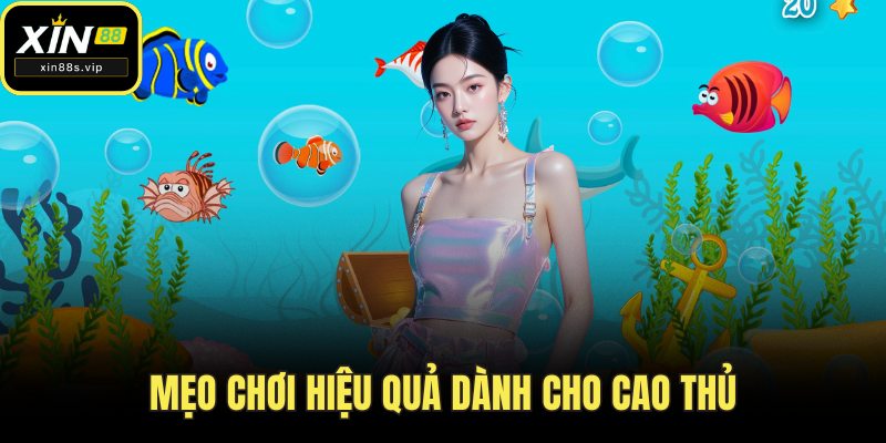 Mẹo chơi hiệu quả dành cho cao thủ