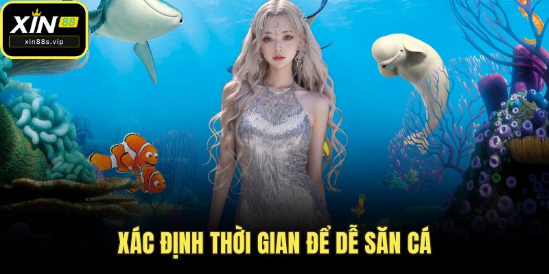 Xác định thời gian để dễ săn cá
